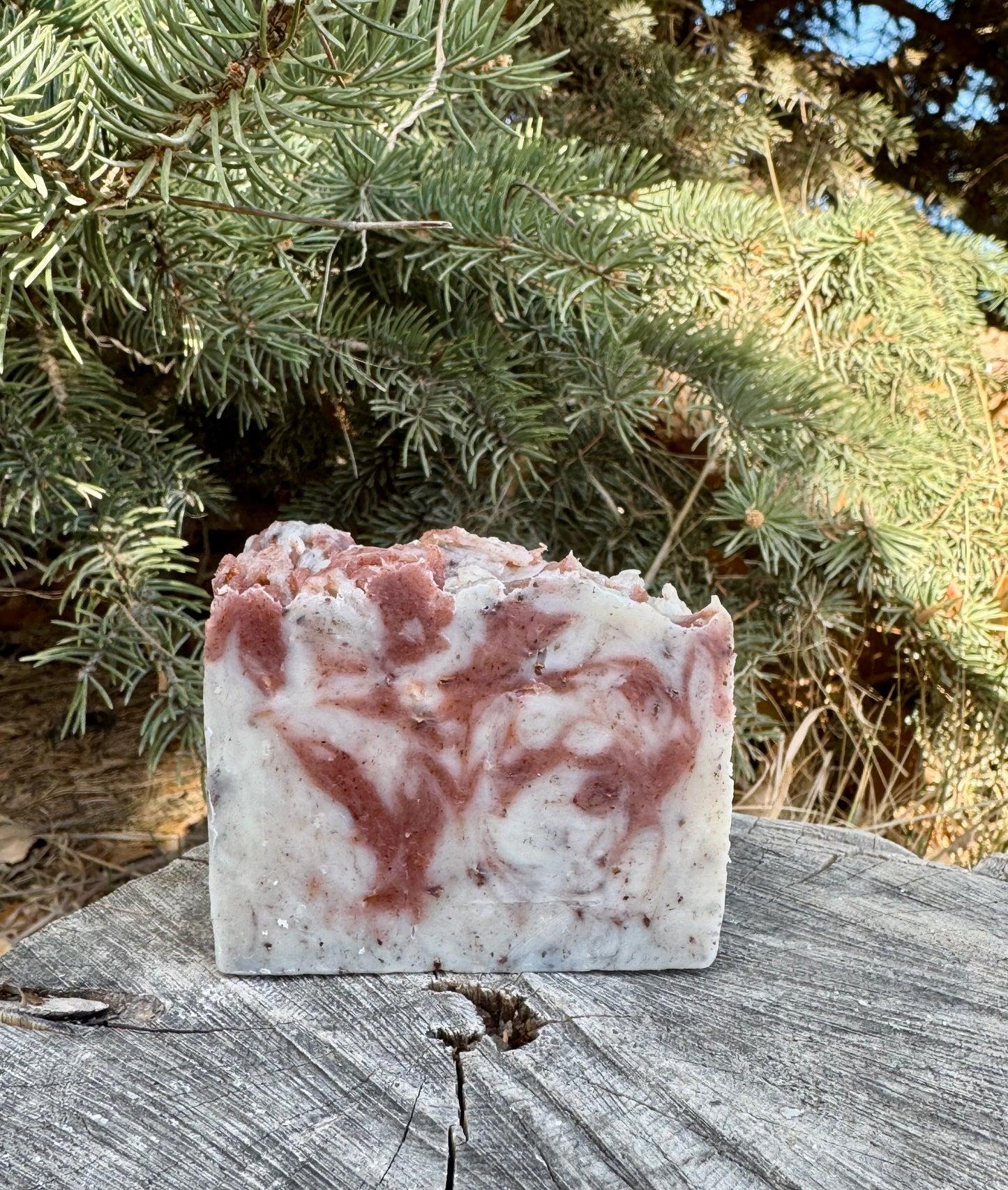 Pecan Scrub
