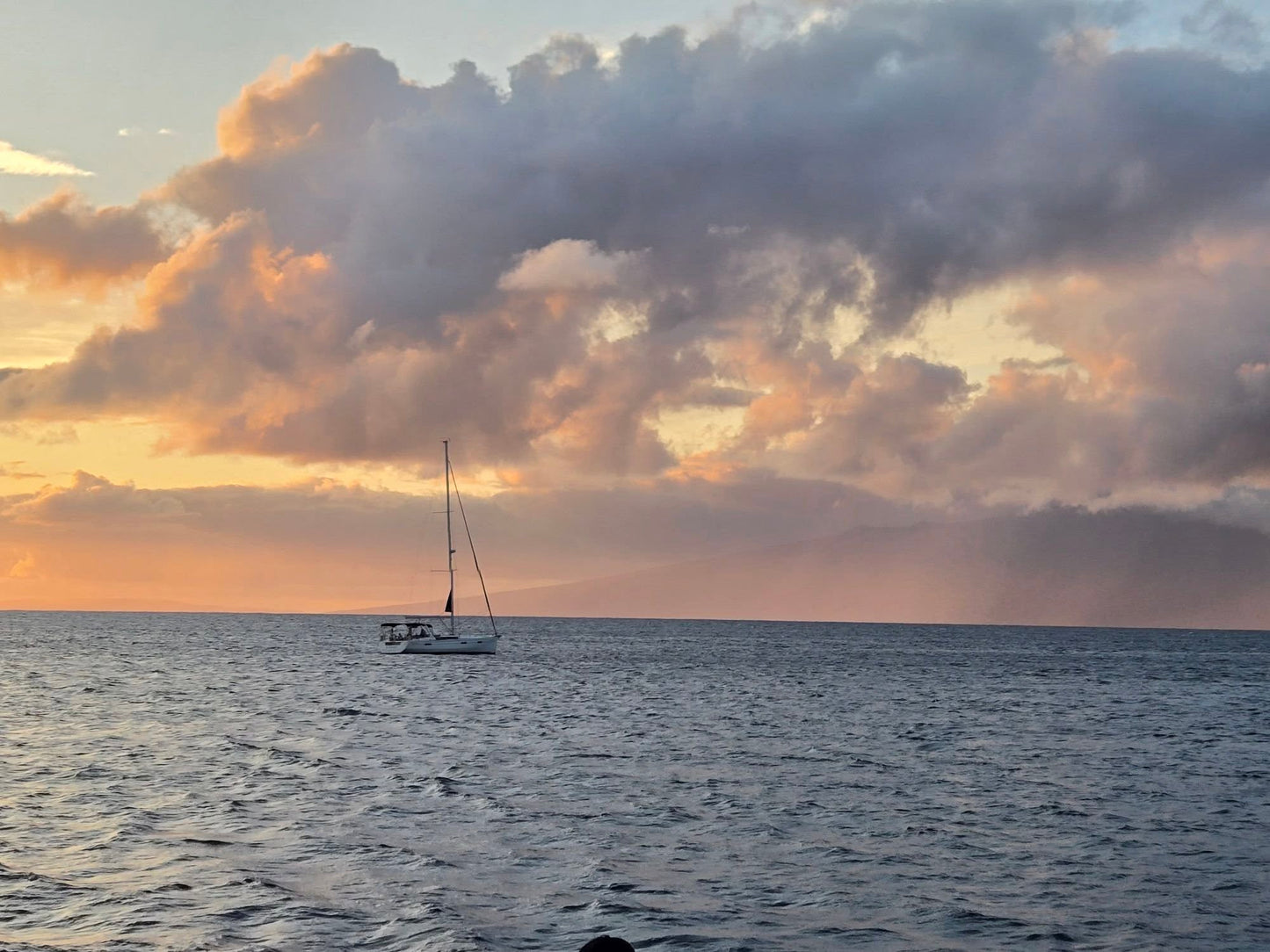 Maui Breeze