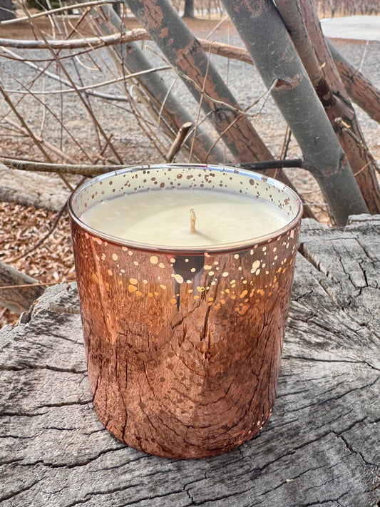 Black Currant Absinthe | Fireside Blend Mercury Candle