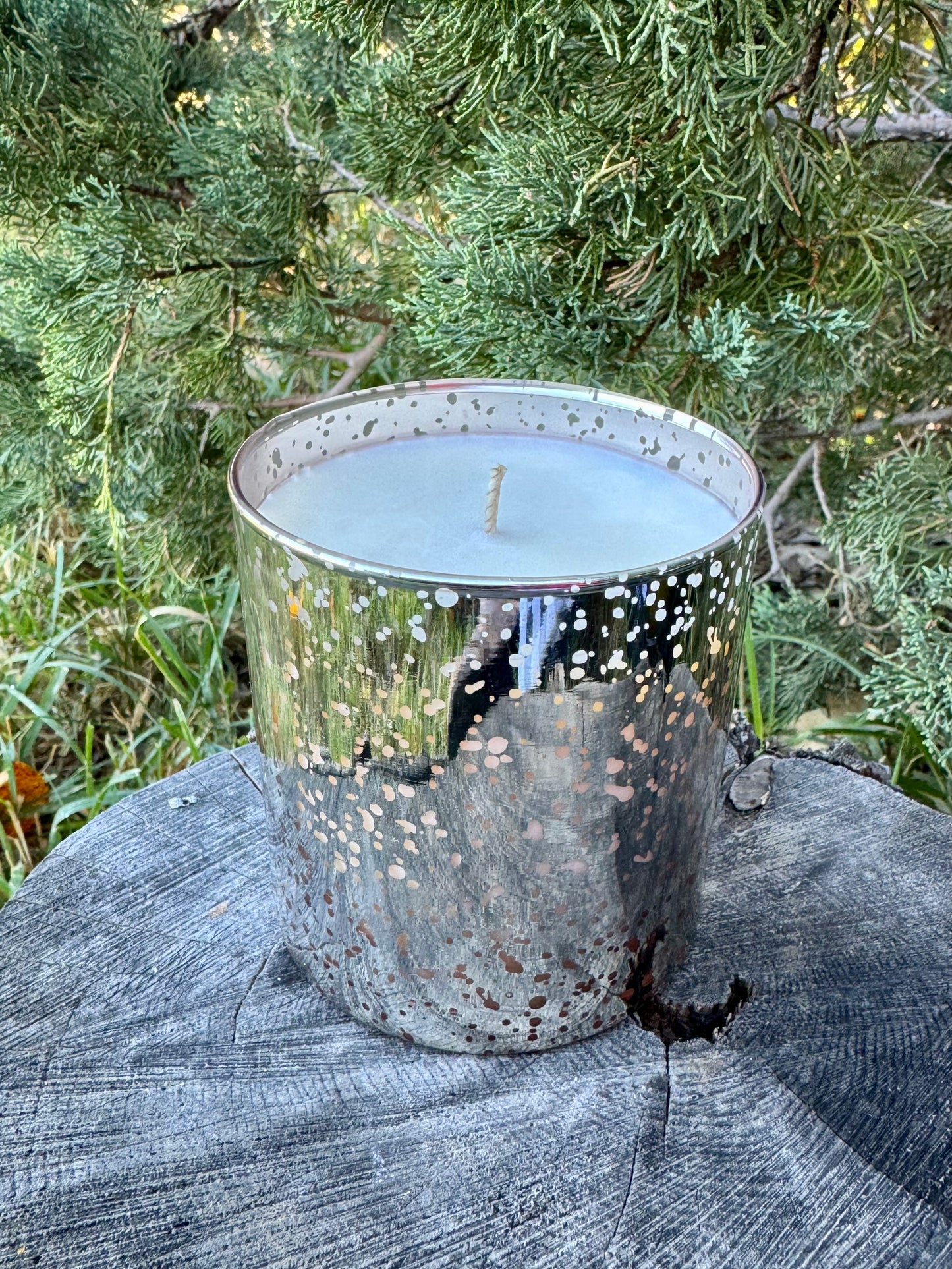 Sage + Citrus Soy Wax Candle